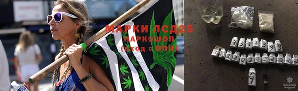 шишки Бородино