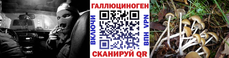 Псилоцибиновые грибы мухоморы  даркнет сайт  мега рабочий сайт  Баксан 